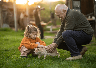 Child and grandfather petting a kitten